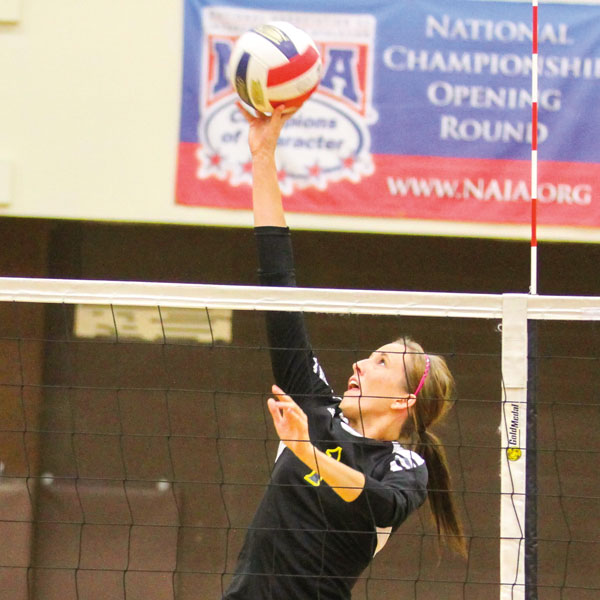 Profile: Robyn Miller