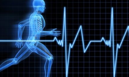 Three Up-and-Coming Careers for Health Science and Exercise Science Majors