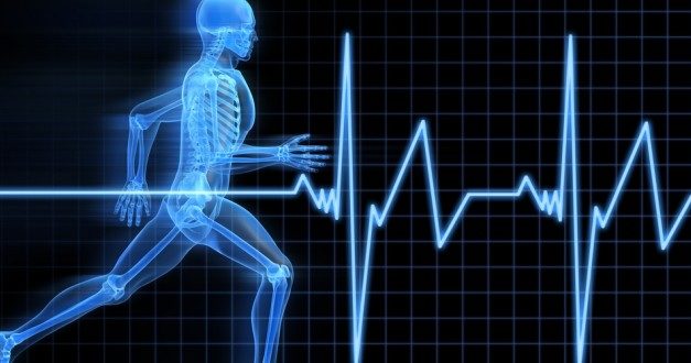 Three Up-and-Coming Careers for Health Science and Exercise Science Majors